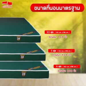 ขนาดเบาะหนัง