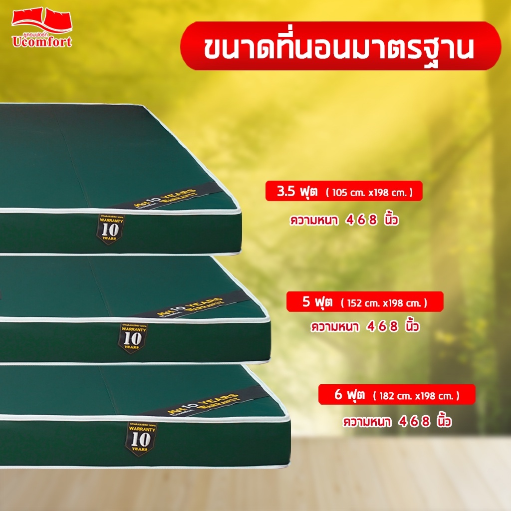 ขนาดเบาะหนัง