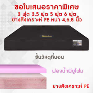 ที่นอนหุ้มหนังสีน้ำตาล