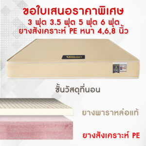 ที่นอนหนังสีครีม