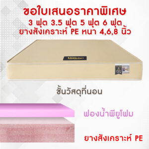 ที่นอนหนังสีครีมเสริมแผ่นฟองน้ำ