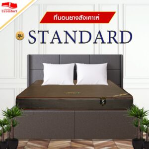 ที่นอนหุ้มหนังพีวีซี รุ่น Standard